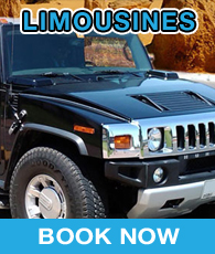 Limousines Travel